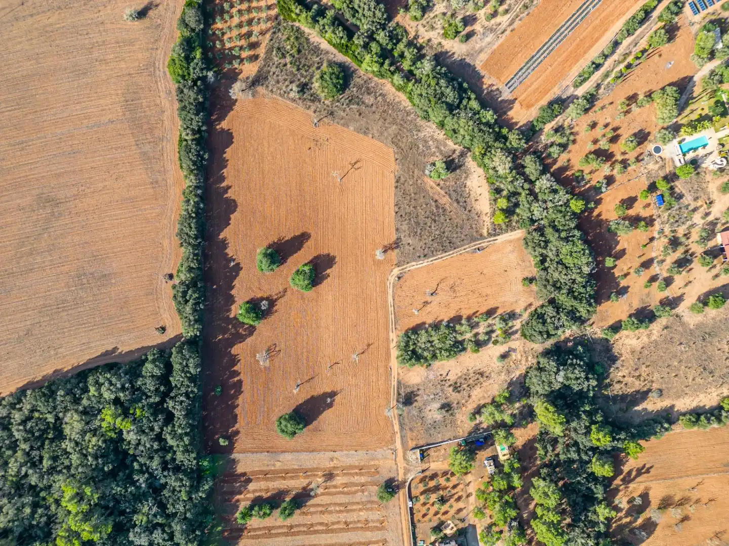 Wohnbaugrundstück zum Verkauf in Felanitx Poble, imagen 6