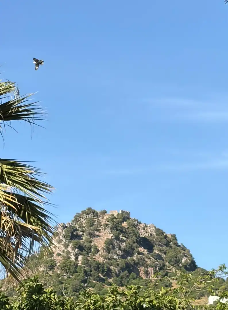 Terreni e lotti in vendita a Benaocaz, imagen 11