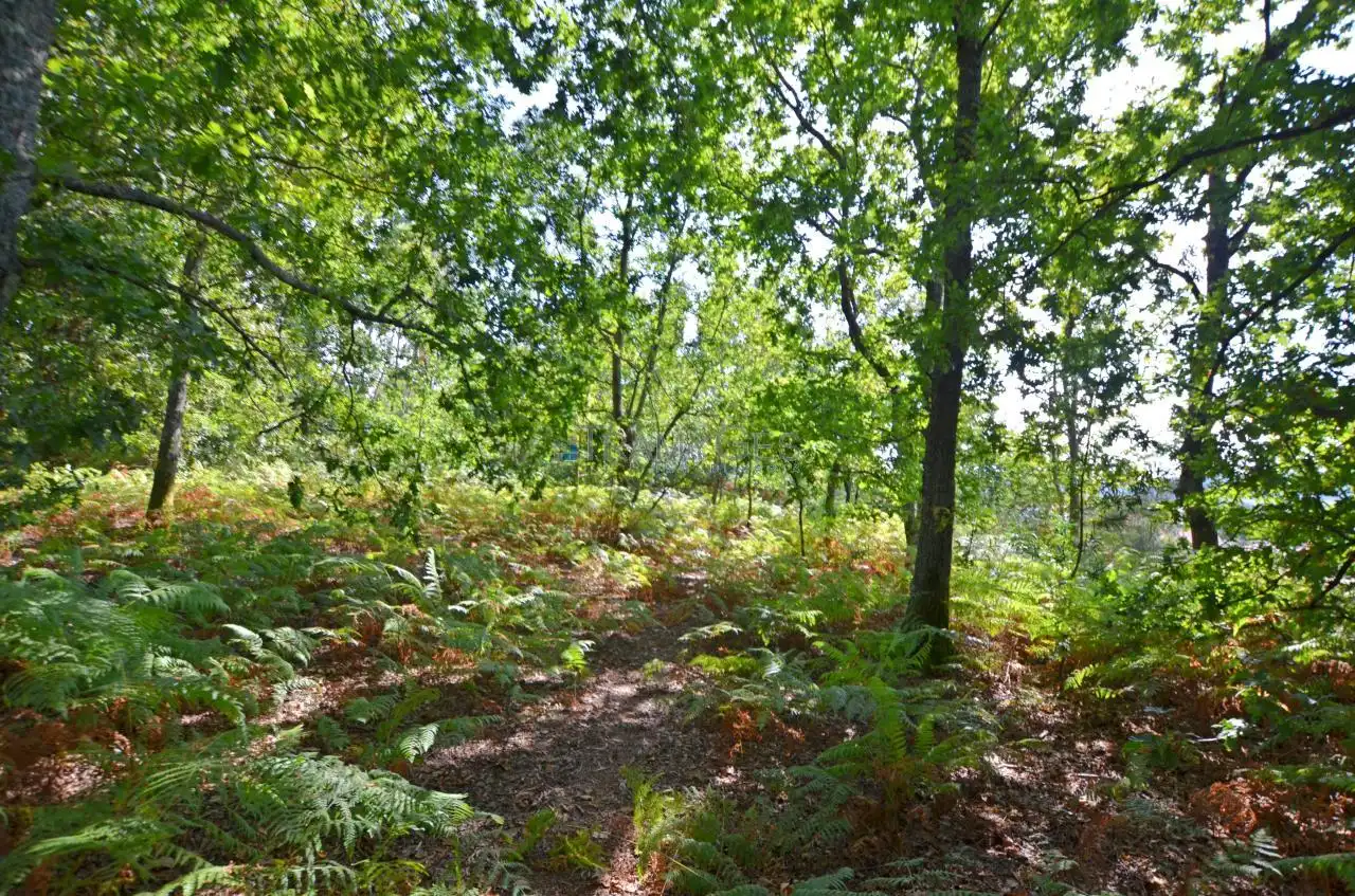 Wohnbaugrundstück zum Verkauf in LUGAR A COSTA, imagen 14