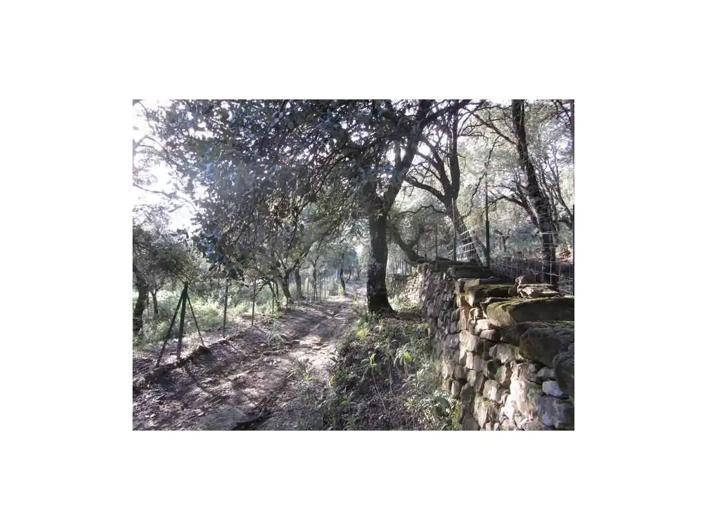 House for sale in Gaucín, imagen 2