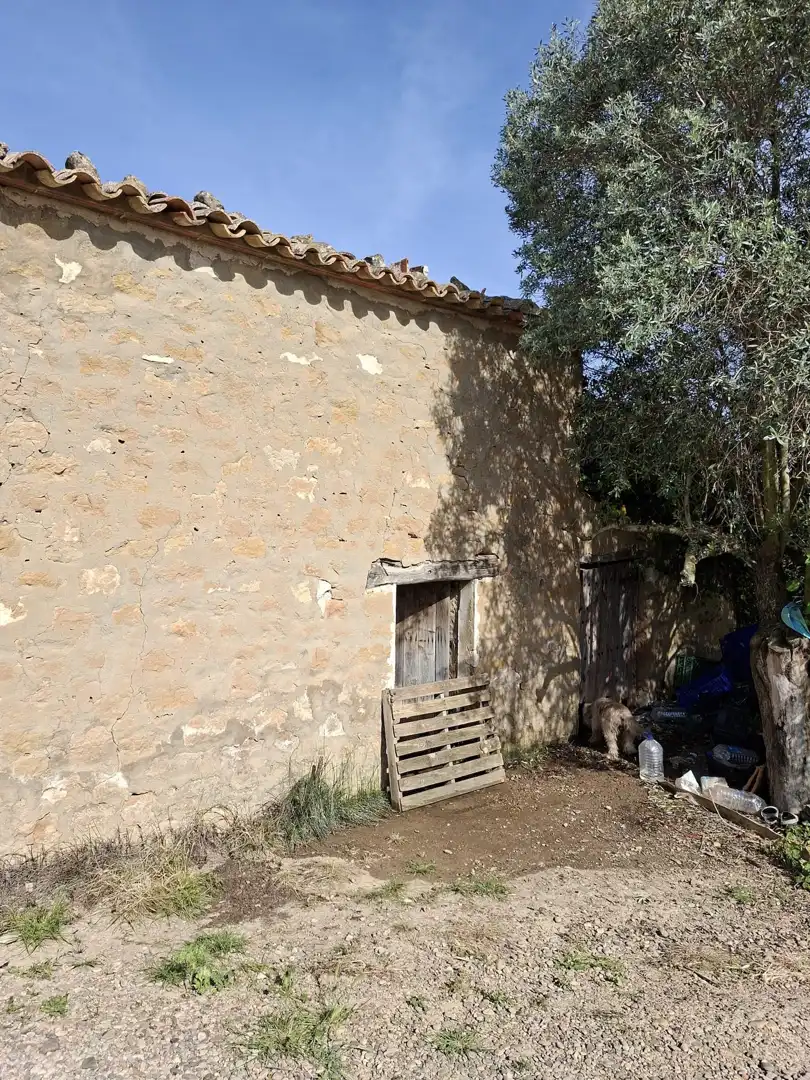 Vista exterior de Finca rústica en venda en Caspe