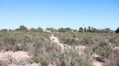 Photo 5 of Land for sale in Partida Perleta, 1184, Perleta - Maitino, Elche / Elx