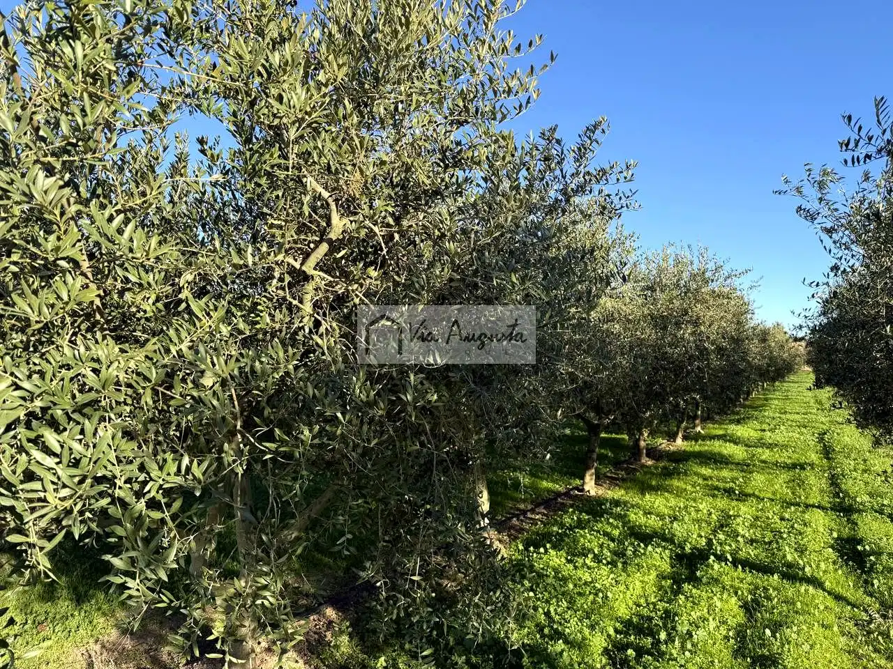 Terrain rustique à vendre à Molineres, imagen 25