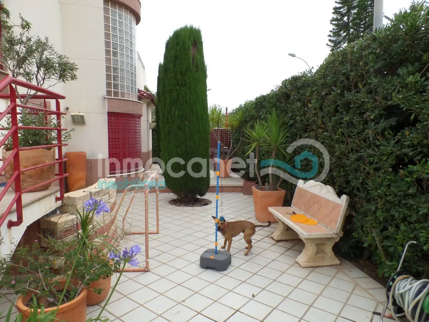 Villa mit Pool zum Verkauf in Oliva pueblo, imagen 23