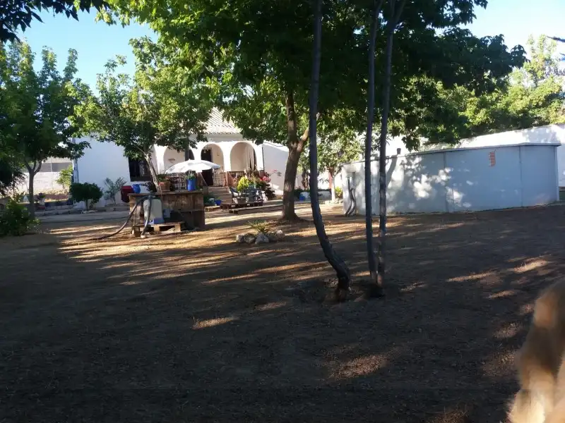 Garten von Country house zum Verkauf in Lucena mit Terrasse