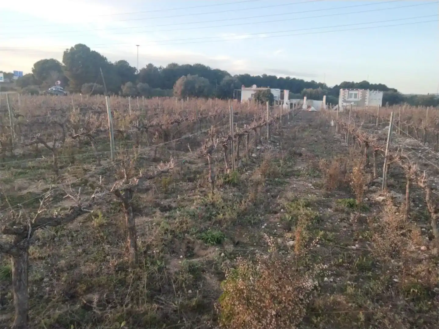 Finca rústica en venda en El Vendrell amb Jardí privat, Piscina i Moblat
