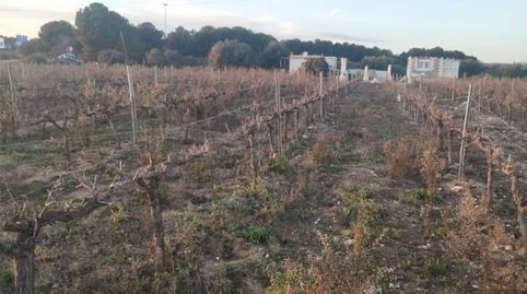 Foto 5 de Finca rústica en venda a Carretera de Sant Salvador, 58, Sant Salvador, El Vendrell