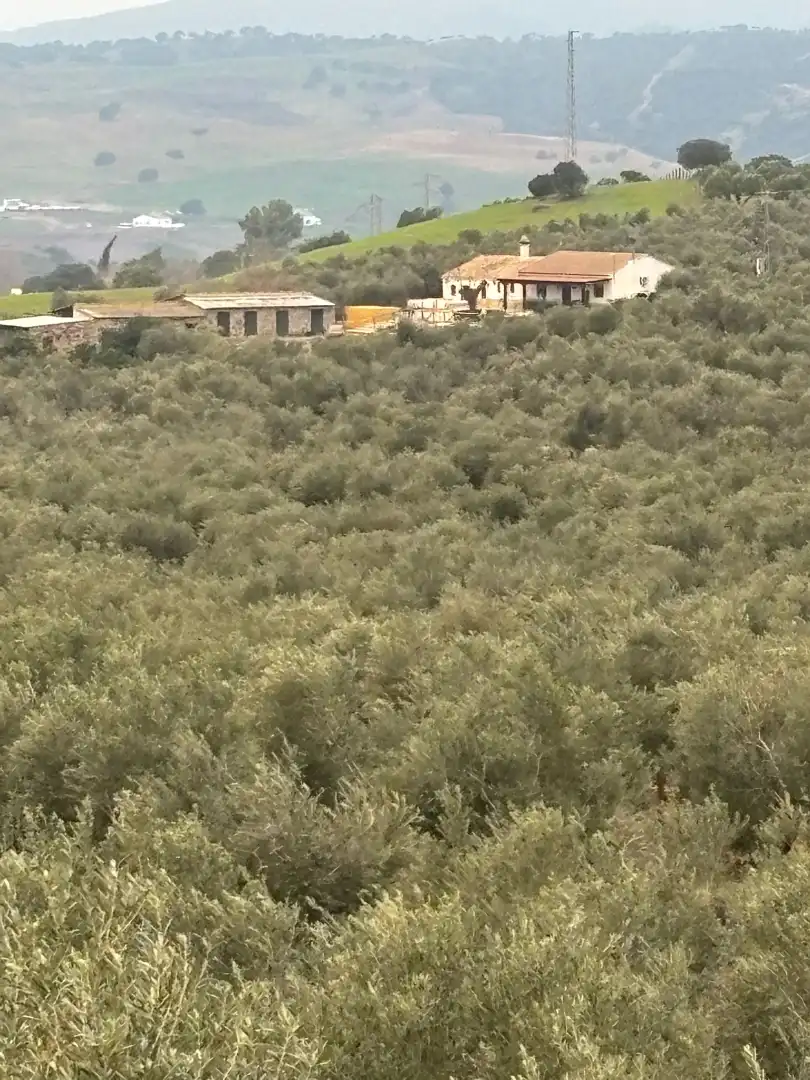 Terreni e lotti in vendita a Carretera Constantina