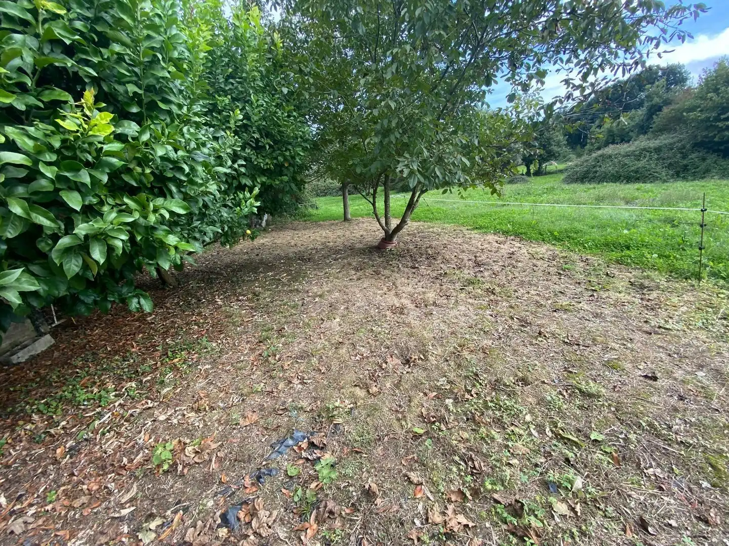 Finca rústica en venta en Argoños