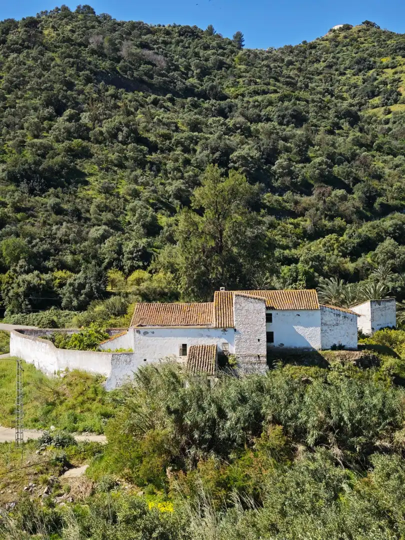 Vista exterior de Finca rústica en venda en Cártama