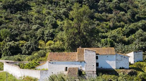 Foto 4 de Finca rústica en venda a Polígono ,19, 19, Gibralgalía, Cártama