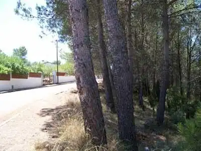 Terreno residencial en venta en Camí de Pinedes Altes 14, imagen 5
