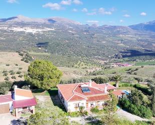 Vista exterior de Casa o xalet en venda en Periana amb Jardí privat, Terrassa i Piscina