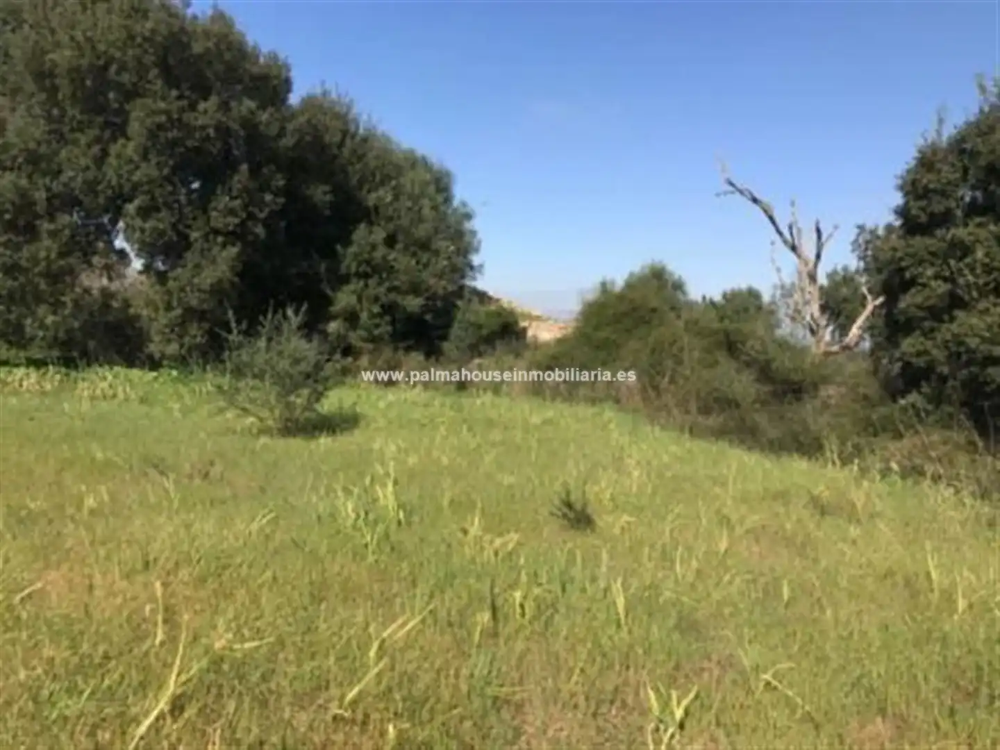 Wohnbaugrundstück zum Verkauf in Llubí, imagen 10