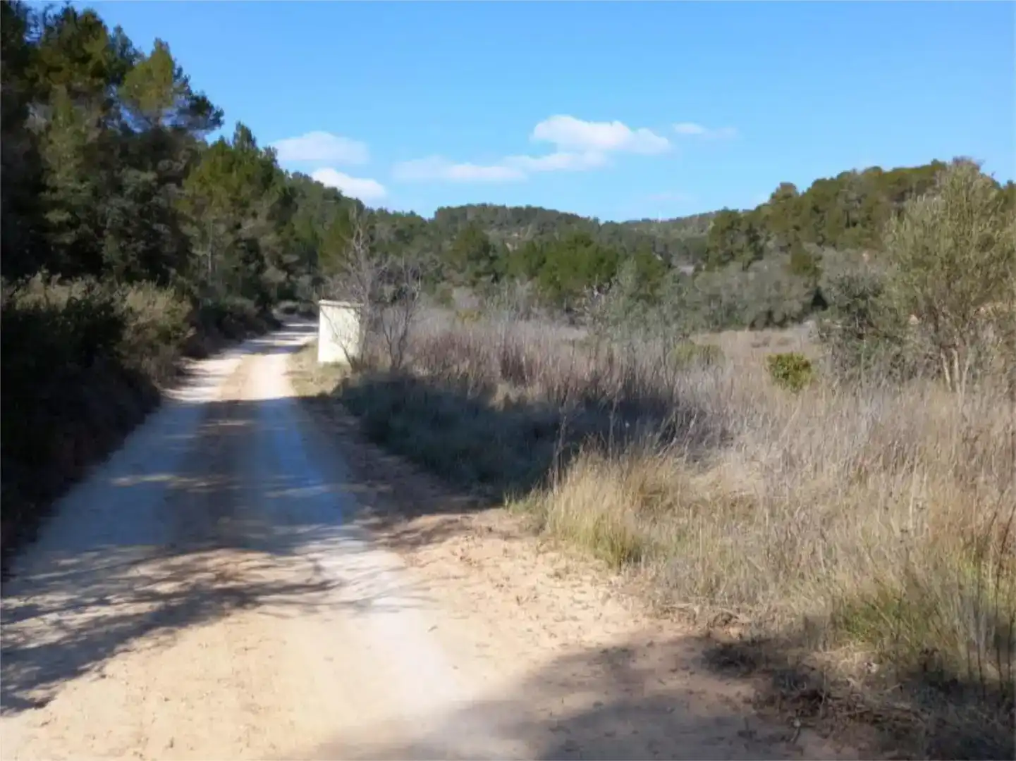 Terreno en venta en Corbera d'Ebre