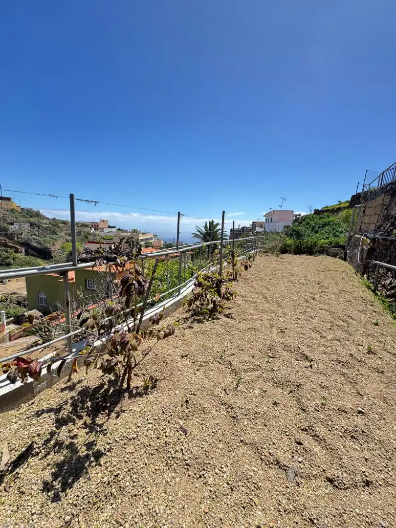 Casa o xalet en venda a Fasnia