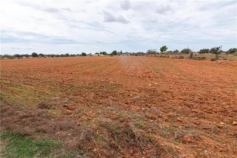 Rustikales Grundstück zum Verkauf in Llucmajor pueblo, imagen 3