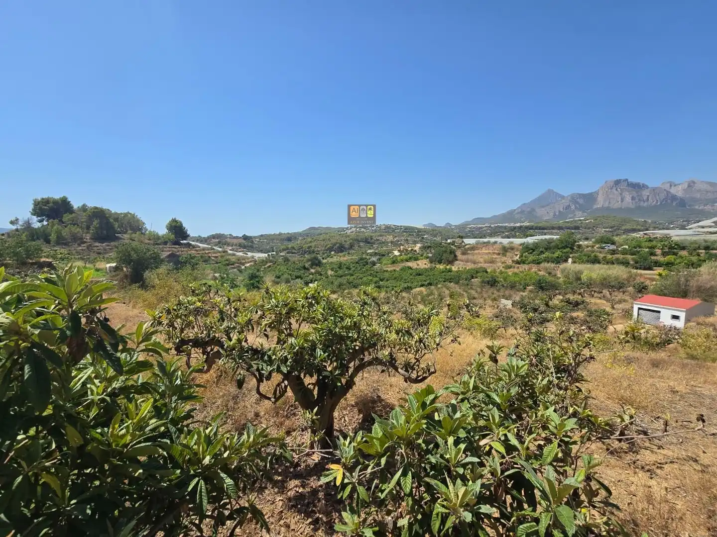 Terreno rustico in vendita a Callosa d'en Sarrià