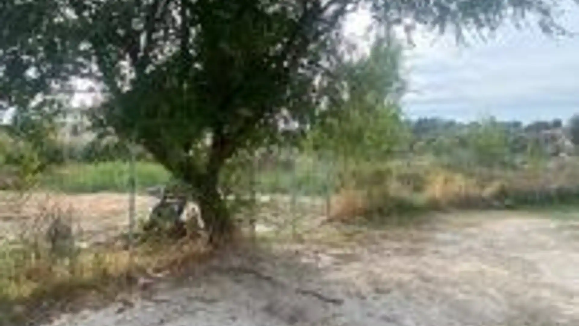 Flat for sale in Los Robles