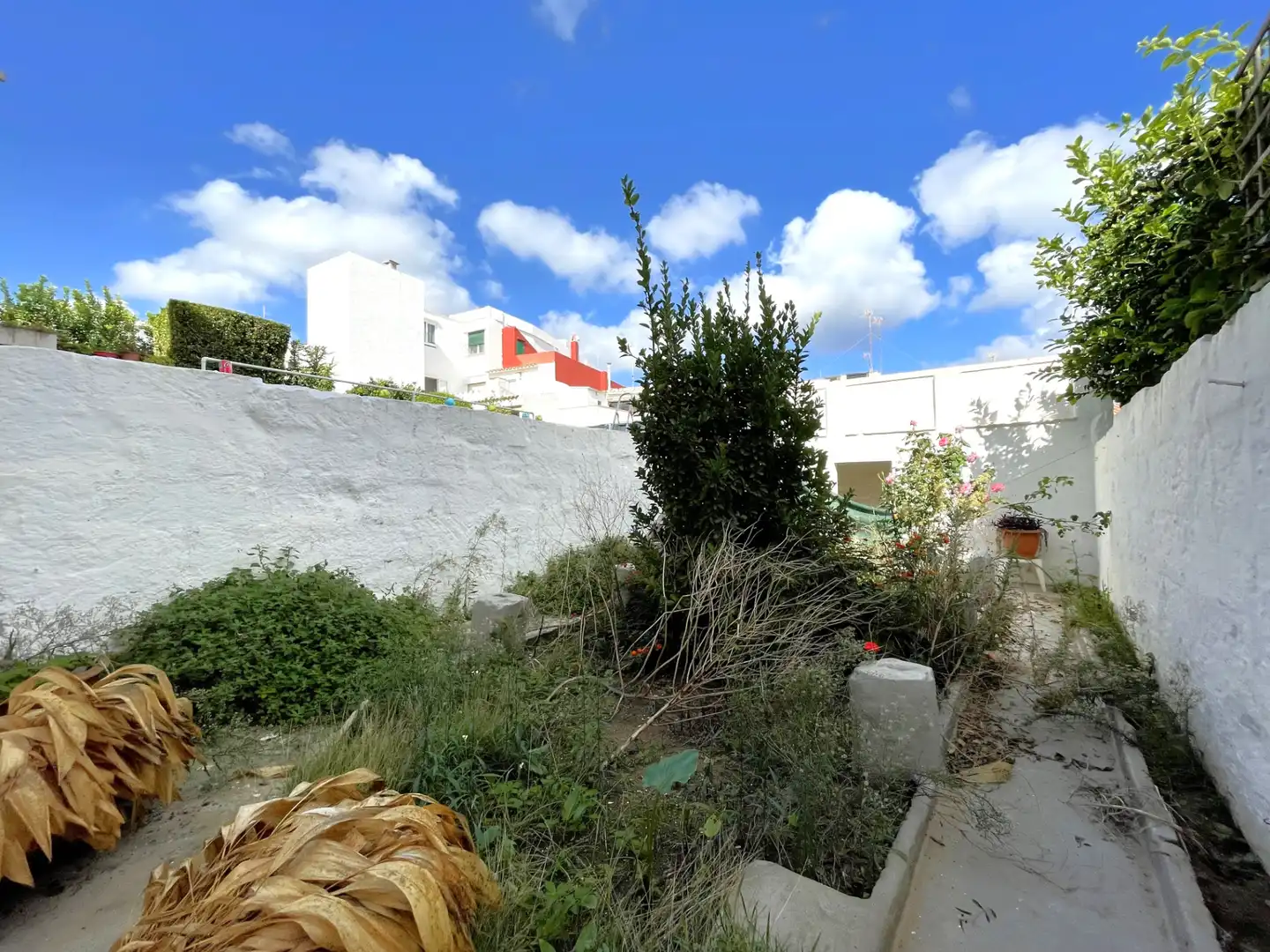 Jardí de Casa o xalet en venda en Maó - Mahón amb Jardí privat i Terrassa