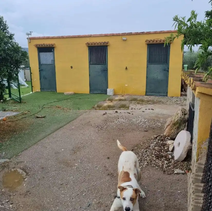 Xalet amb jardí en venda a Coín, imagen 29