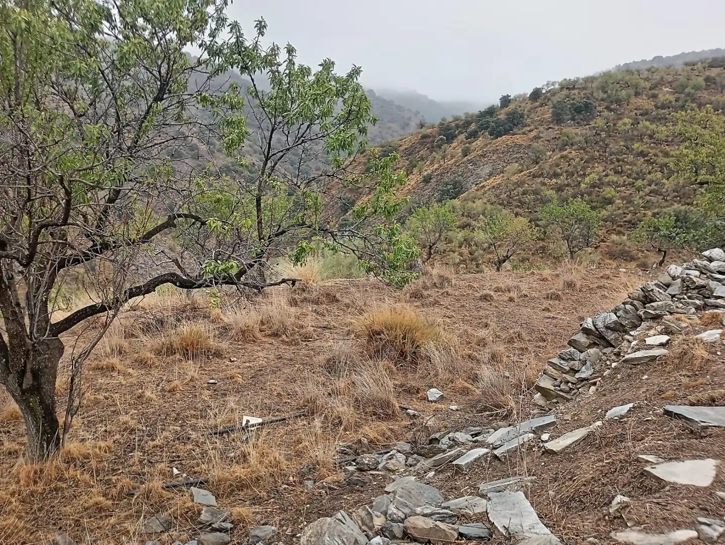 Residencial en venda en Sierro