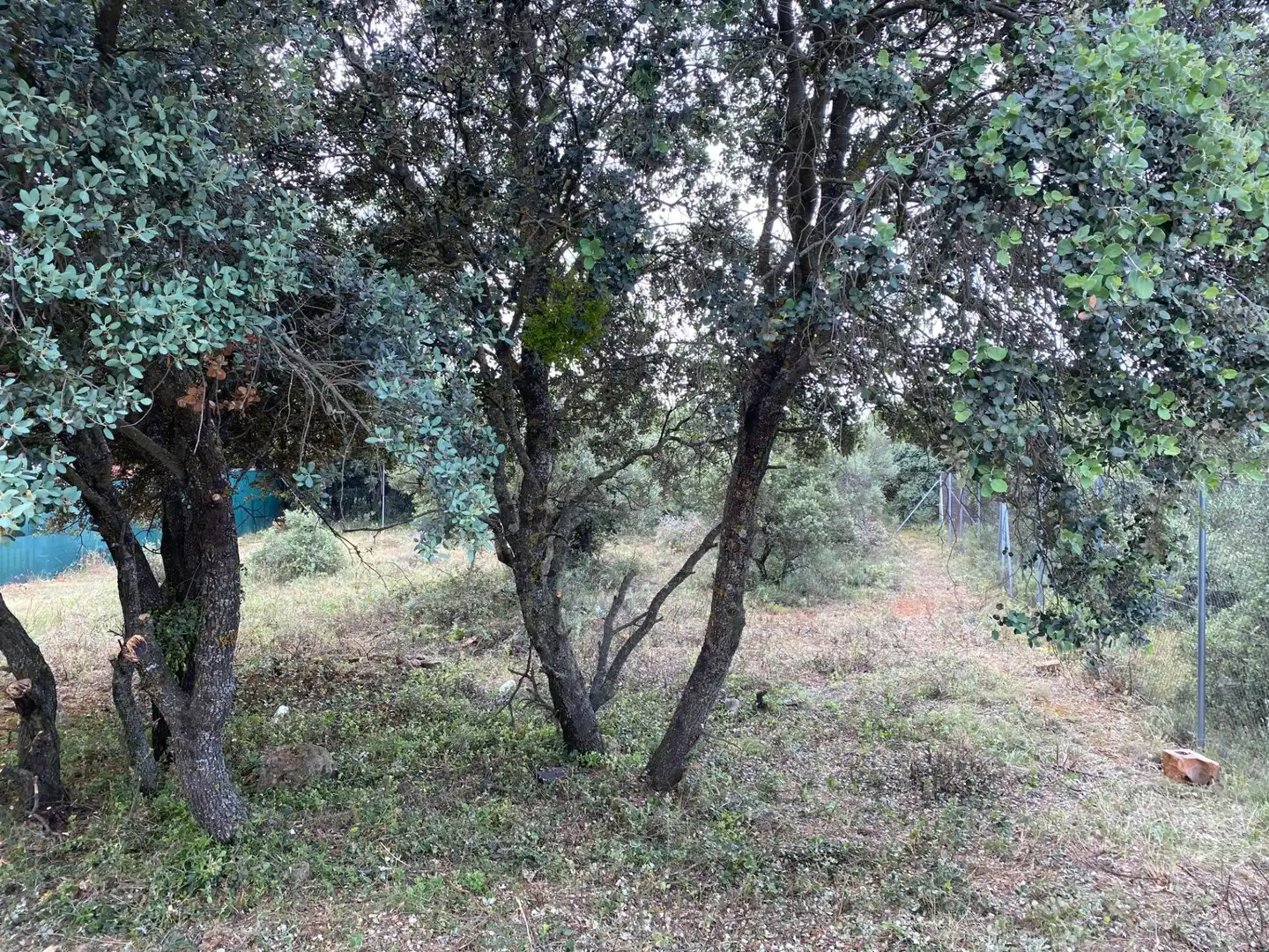 Terreno residenziale in vendita a Pioz, imagen 6