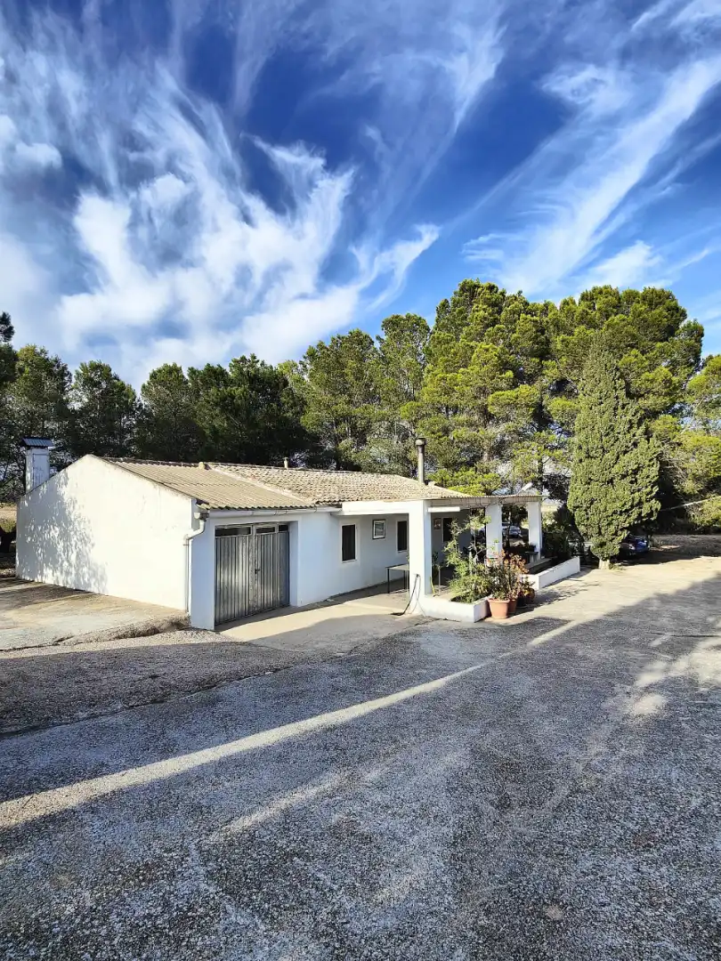 Vista exterior de Casa o xalet en venda en Yecla amb Jardí privat, Terrassa i Piscina