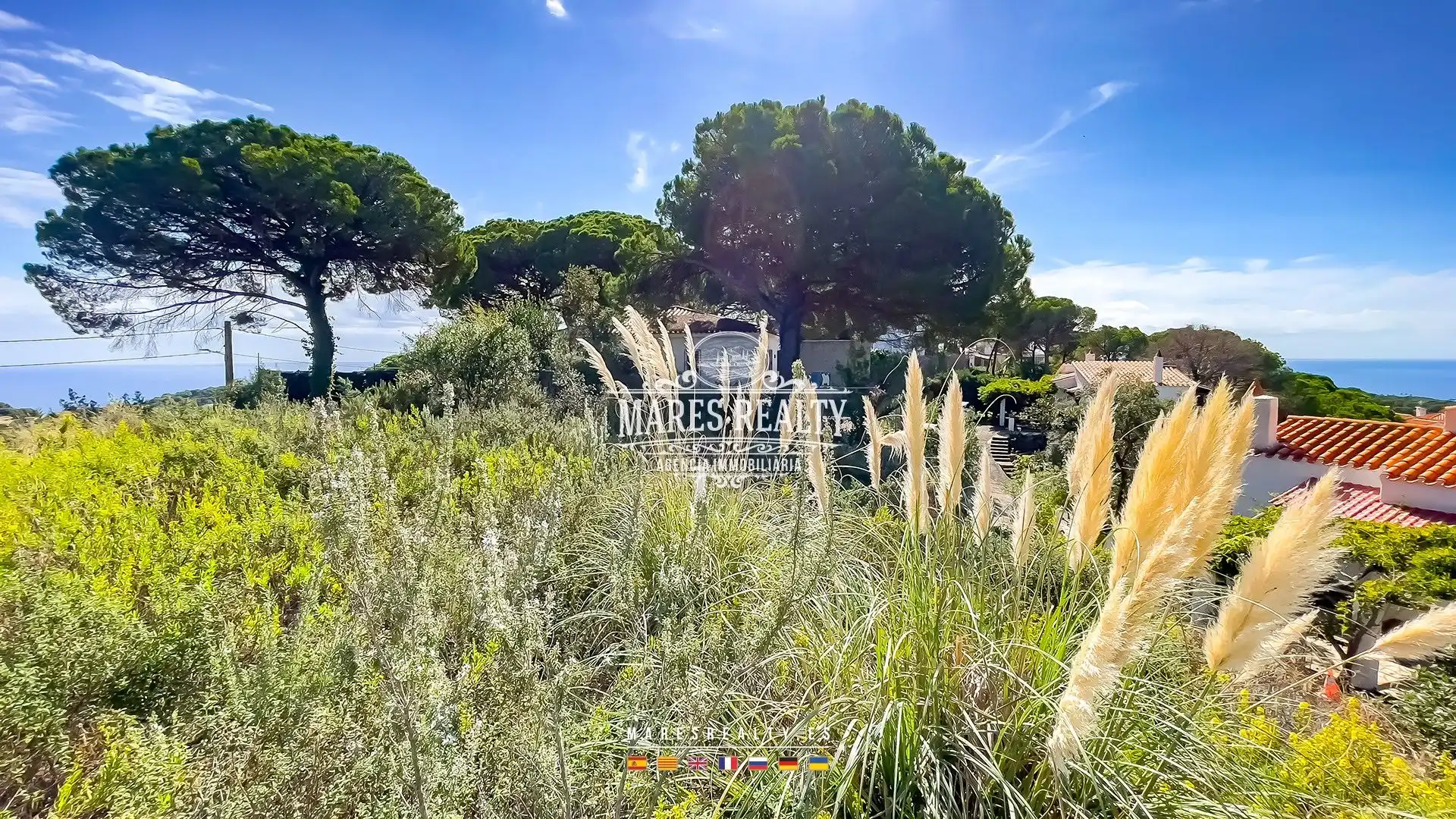 Terrenos y solares en venta en Canyelles, imagen 10