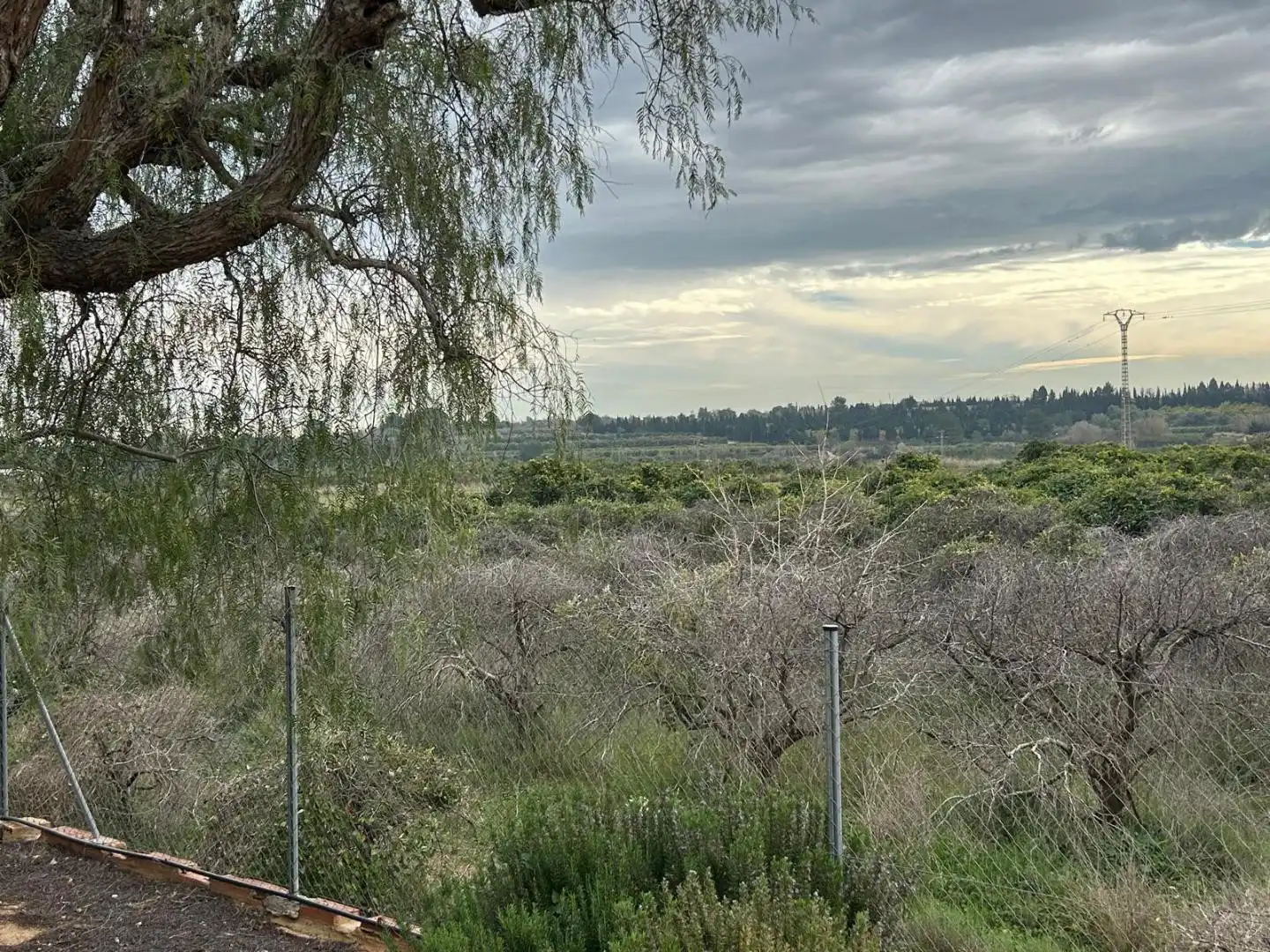 Houses for sale in Torrent