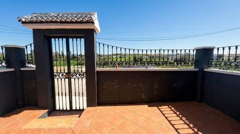 Foto 3 de Casa o chalet en venta en Camino de Cotilla, Campanillas, Málaga Capital