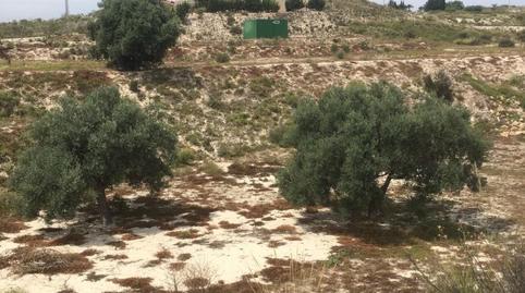 Photo 3 of Country house for sale in Los Valientes, Murcia