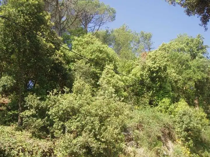 Residential land for sale in Carrer Serra de Sant Feliu 82, imagen 6