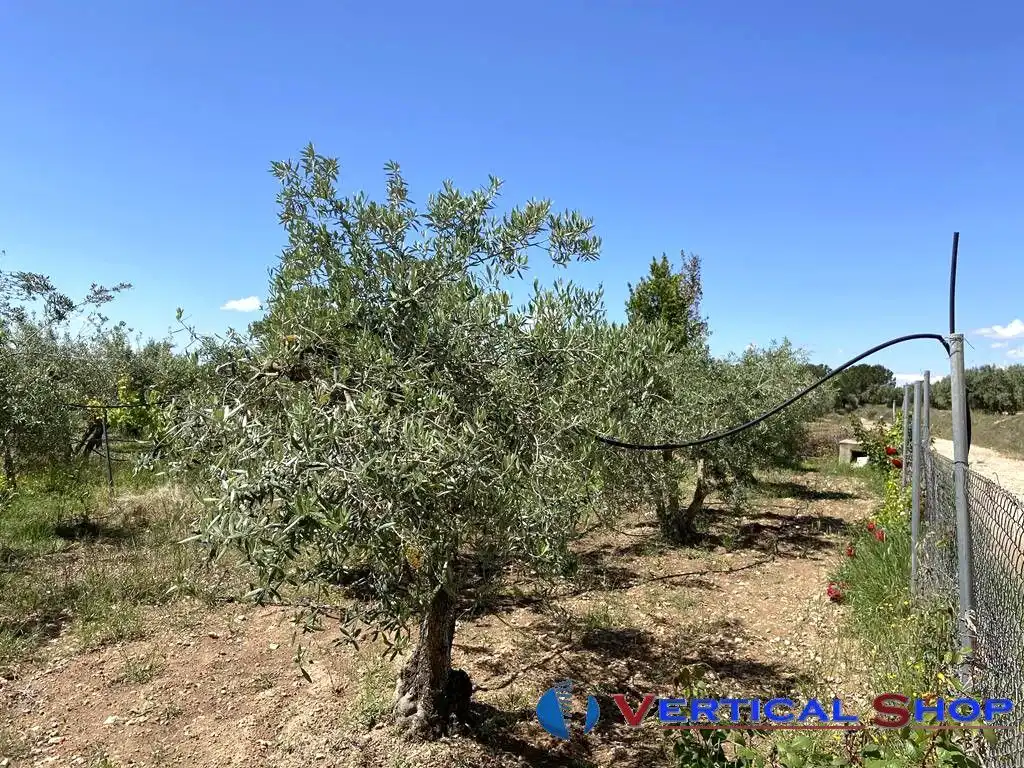 Villa à vendre à Martin Gil, imagen 40