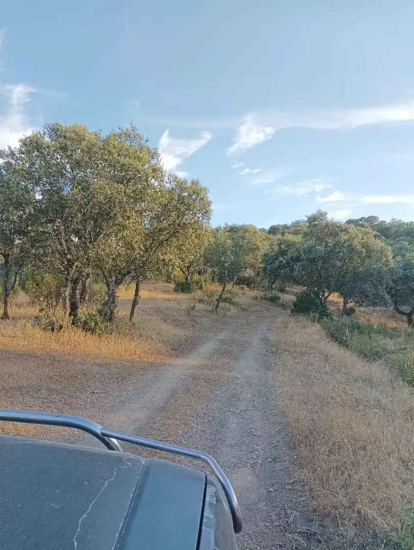 Land for sale in Córdoba