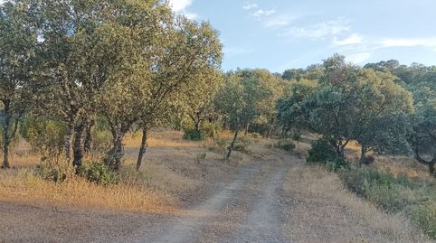 Foto 2 de Terreno en venta en Zona Centro, Córdoba Capital