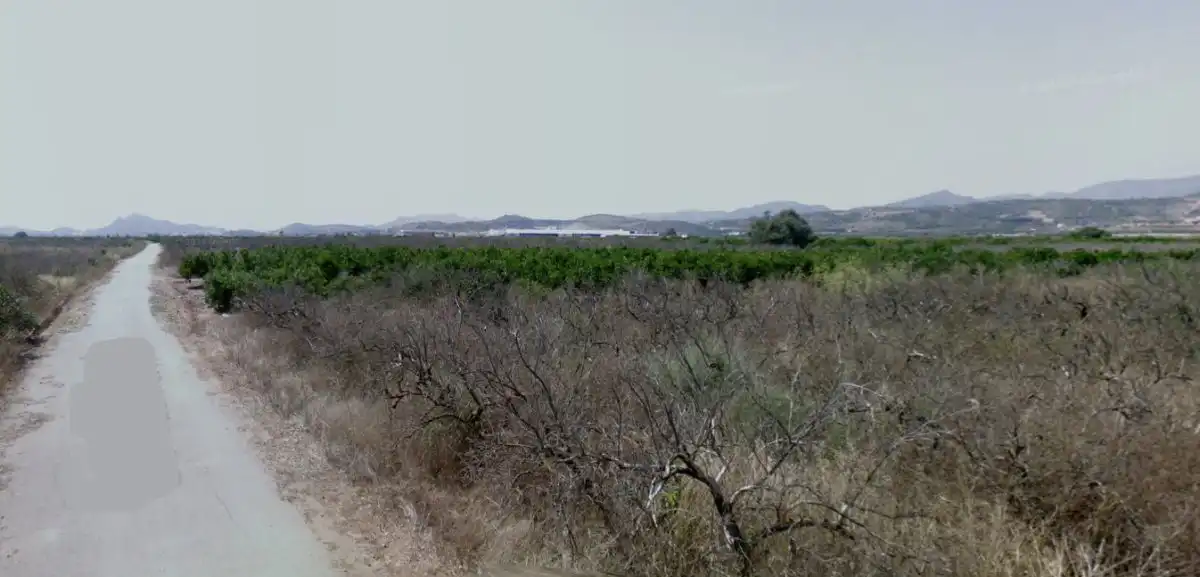 Casa rústica en venda a Moncófar Pueblo, imagen 4