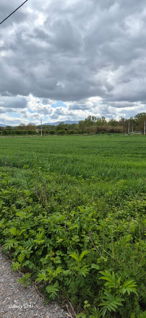 Terreny industrial en venda en Villamediana de Iregua