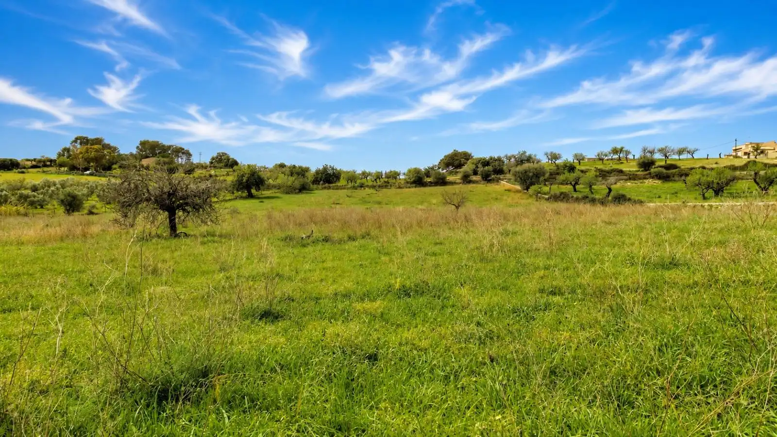 Residential for sale in Selva