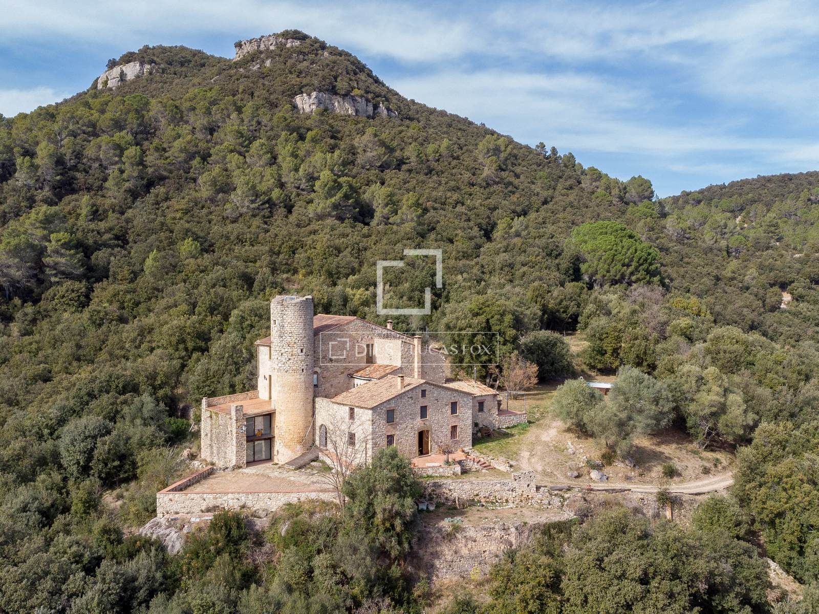 Vista exterior de Finca rústica en venda en Amer amb Calefacció, Jardí privat i Terrassa