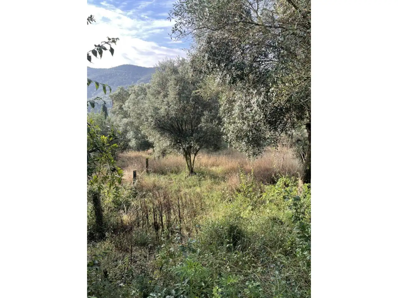 Terreny residencial en venda a Calle olivet del veinat, imagen 8