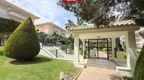 Foto 2 de Piso en venta en Rio Llobregat, Mil Palmeras, Pilar de la Horadada
