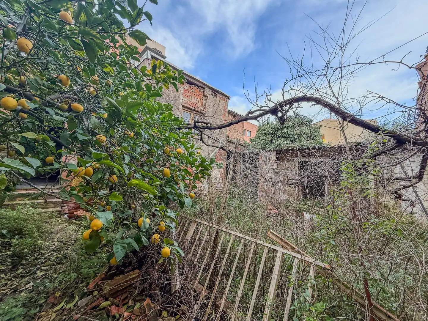 Lands and plots for sale in Concòrdia - Can Rull, imagen 7