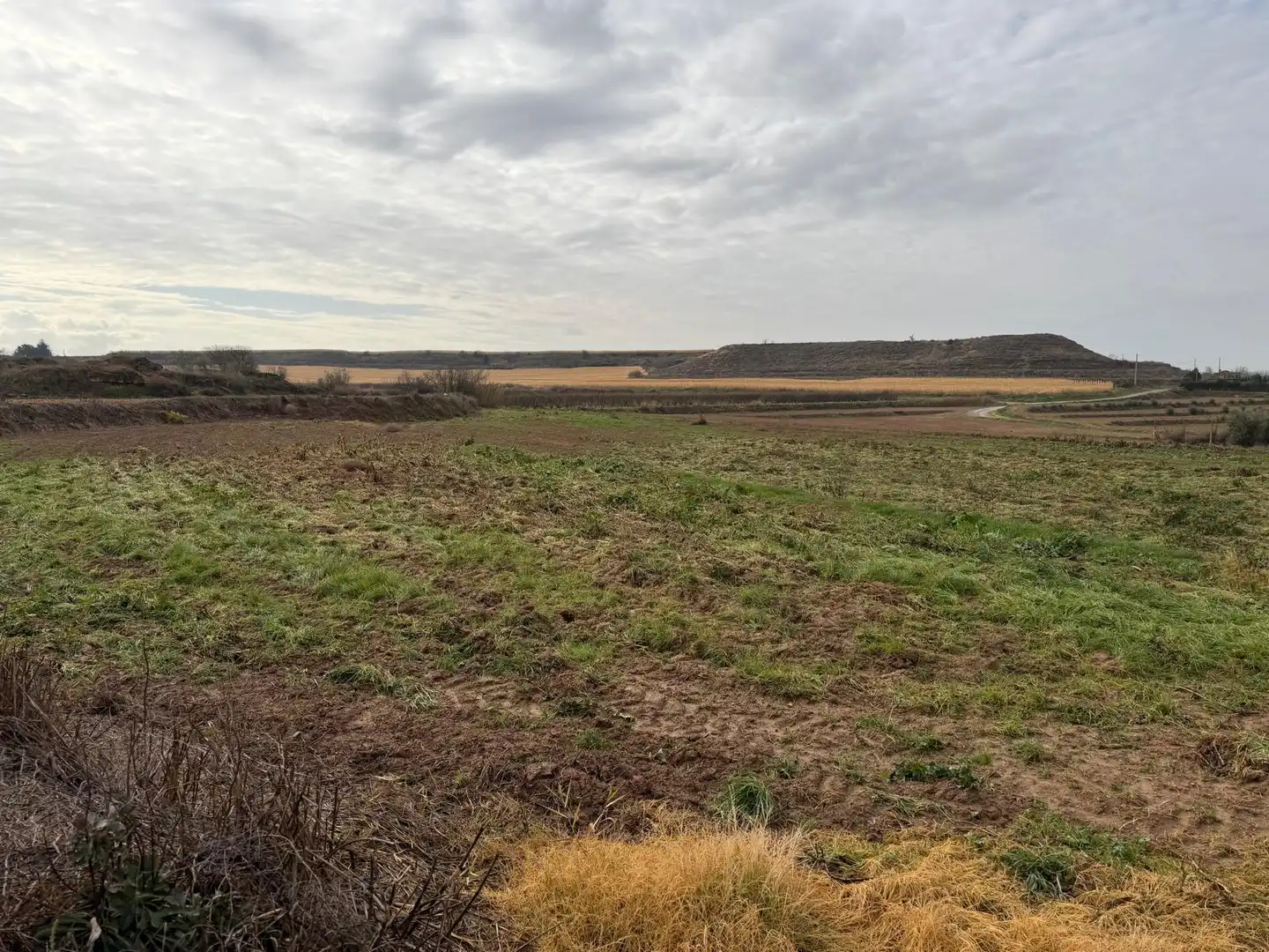 Terreno rustico in vendita a Carrer la Font, imagen 4