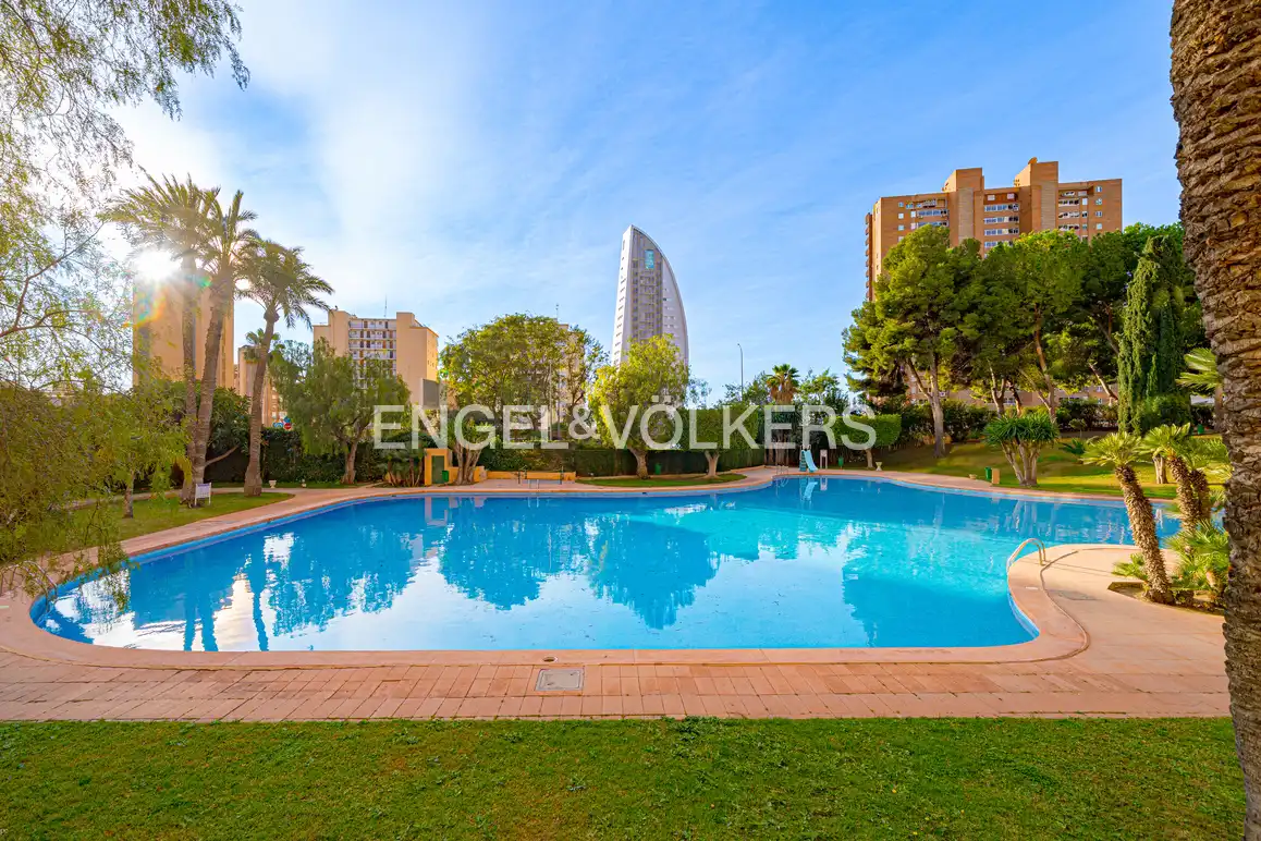 Wohnung mit Pool zur Miete in Avinguda Marina Baixa 1, imagen 32
