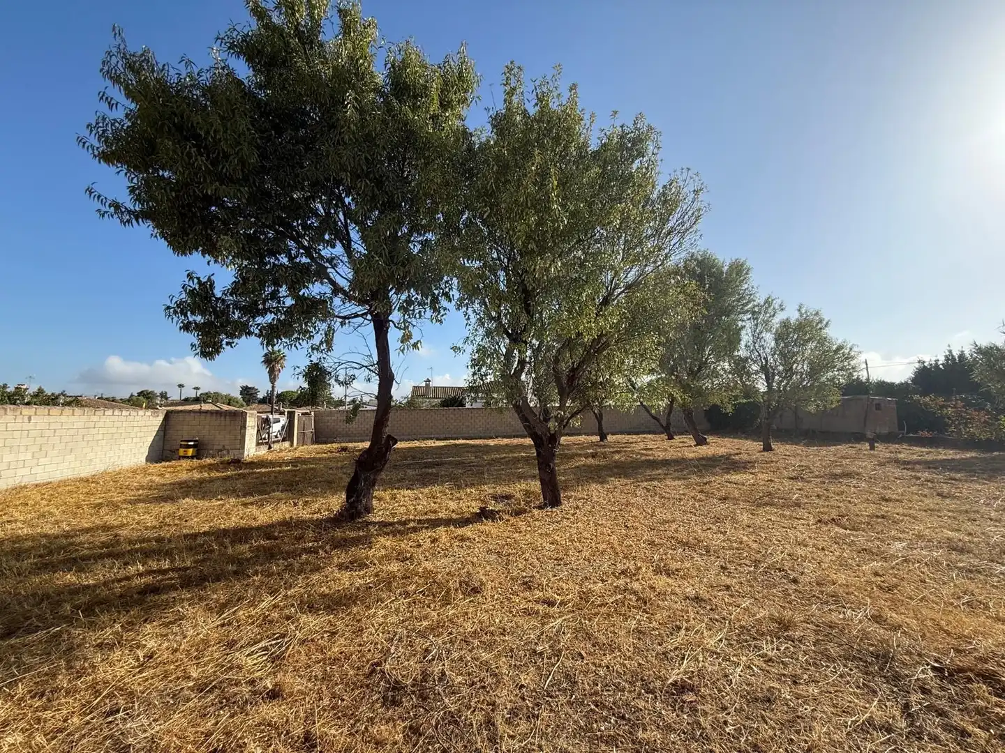 Terrenys i solars en venda a Los Franceses – La Vega, imagen 6