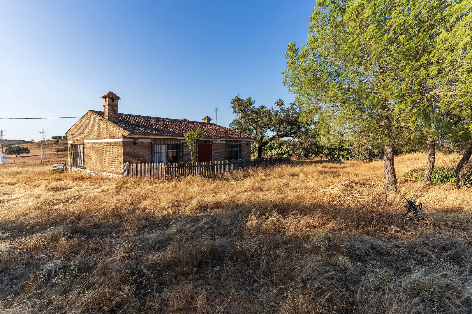 Land for sale in Calañas