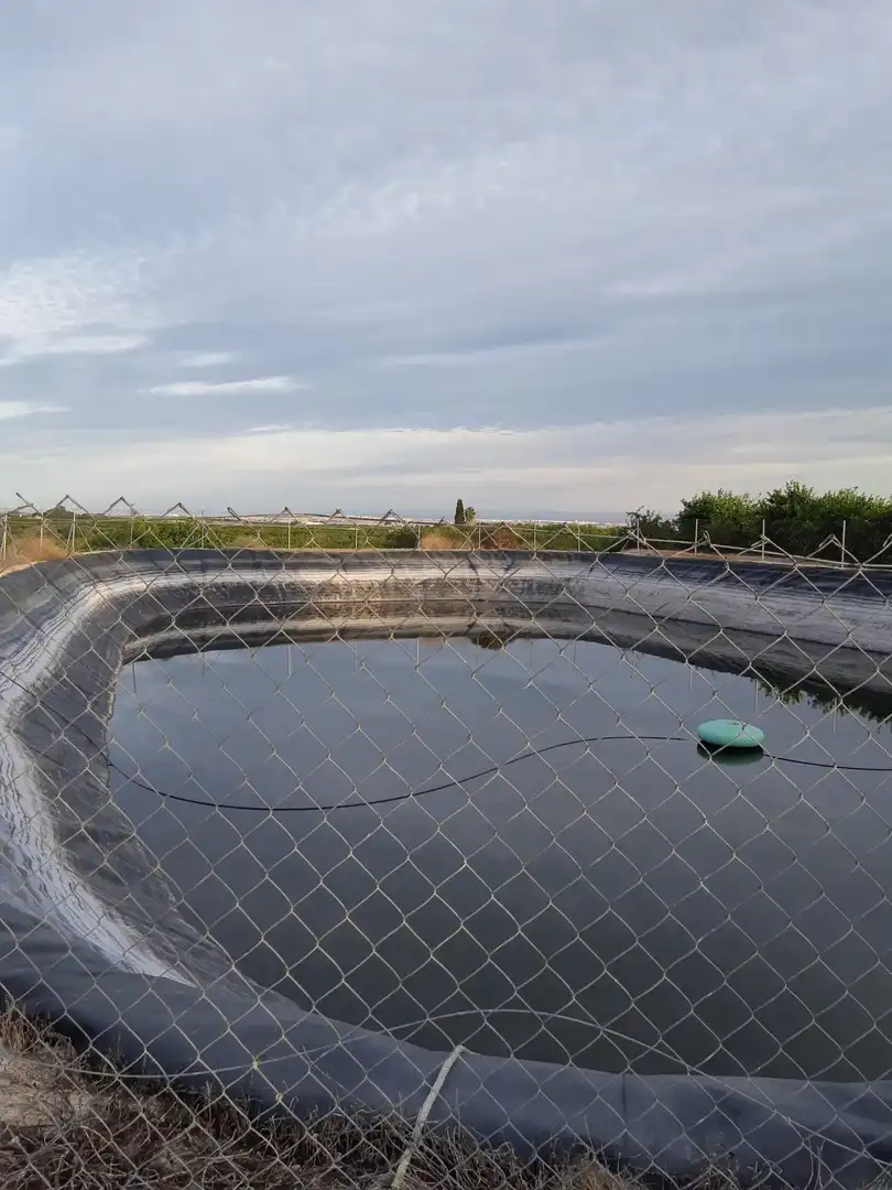 Casa rústica amb jardí en venda a San Miguel de Salinas, imagen 4