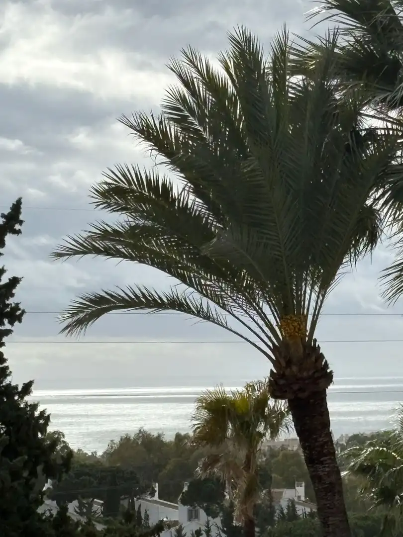 Vista exterior de Dúplex en venda en Mijas amb Calefacció, Terrassa i Piscina comunitària