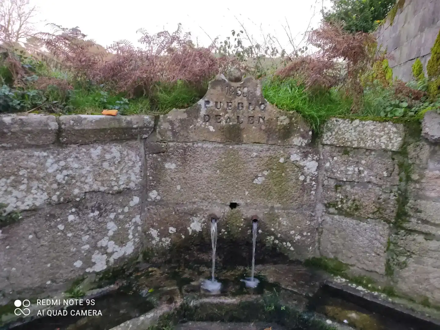 Jardín de Casa o chalet en venta en O Irixo